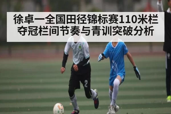 徐卓一全国田径锦标赛110米栏夺冠栏间节奏与青训突破分析